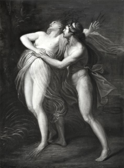 Anonimo — Appiani Andrea - sec. XVIII - Apollo e Dafne — insieme